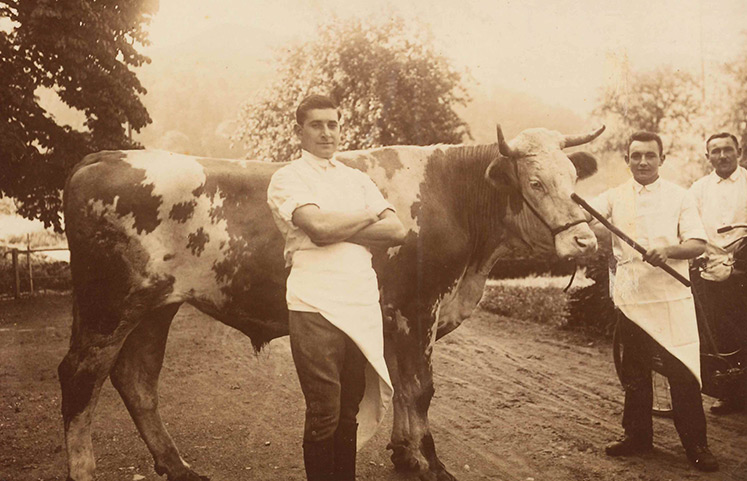 Historischer Aufnahme von zwei Metzgern und einem Rind