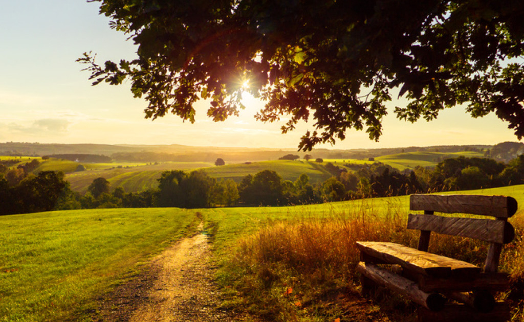 Landschaft im Sonnenuntergang und einer Sitzgelegenheit unter einem Baum