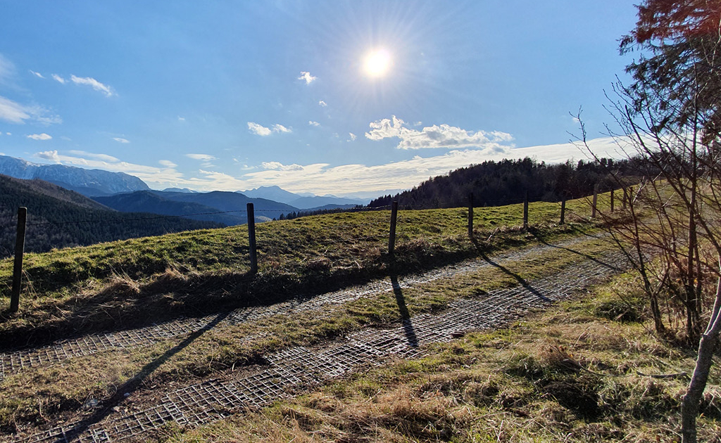 Ein Feldweg entlang einer Weide