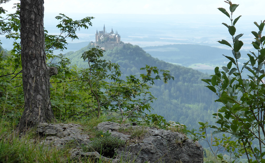 Blick von einem Ausichtspunkt auf die Burg Hohenzollern